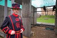 Newly appointed ravenmaster stands alongside some ravens at The Tower of London.